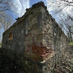 Руины усадьбы и остатки парка Боровских (Луковец)