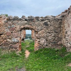 Свислочское замчище (Свислочь)