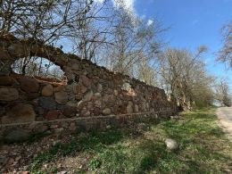 Руины усадьбы и остатки парка Боровских