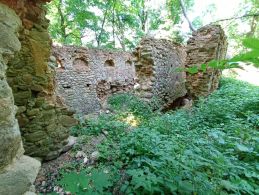 Руины усадьбы и остатки парка Боровских в Луковце