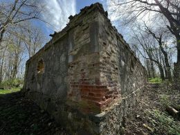 Руины усадьбы и остатки парка Боровских