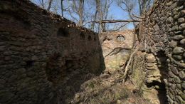 Руины усадьбы и остатки парка Боровских