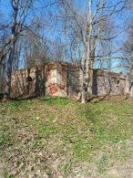 Руины усадьбы и остатки парка Боровских