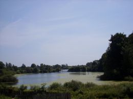 Усадебно-парковый ансамбль Лубенских