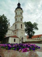 Костёл Успения Пресвятой Девы Марии в Пинске
