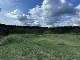 Городище в Ракове
