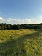Раковское городище