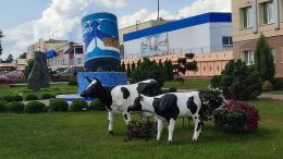 Памятник сгущенному молоку в Рогачеве