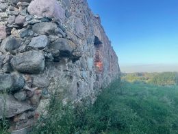 Свислочское замчище (Свислочь, Осиповичский район)