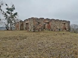 Свислочское замчище (Свислочь, Осиповичский район, Могилёвская область)