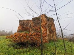 Руины церкви Святых апостолов Петра и Павла в агрогородке Вишов