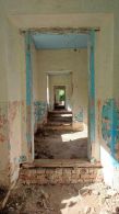 Усадьба Костровицких в Костенево