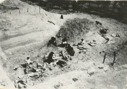 Раскопки палеотической стоянки Бердыж. 1928.